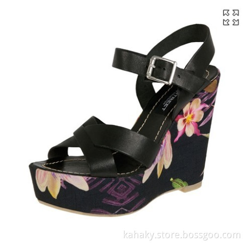 Lady Fashion Shoes for 2014 (HL201314)